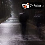 Фотовыставка \"Мир вокруг нас\"